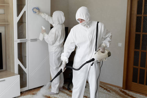 24/7 Emergency Odor Removal experts in De Graff, OH